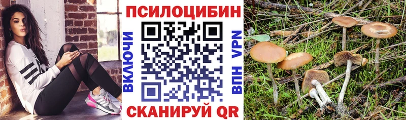 Псилоцибиновые грибы Magic Shrooms  Купить  Багратионовск 